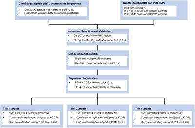 Potential disease biomarkers for diabetic retinopathy identified through Mendelian randomization analysis